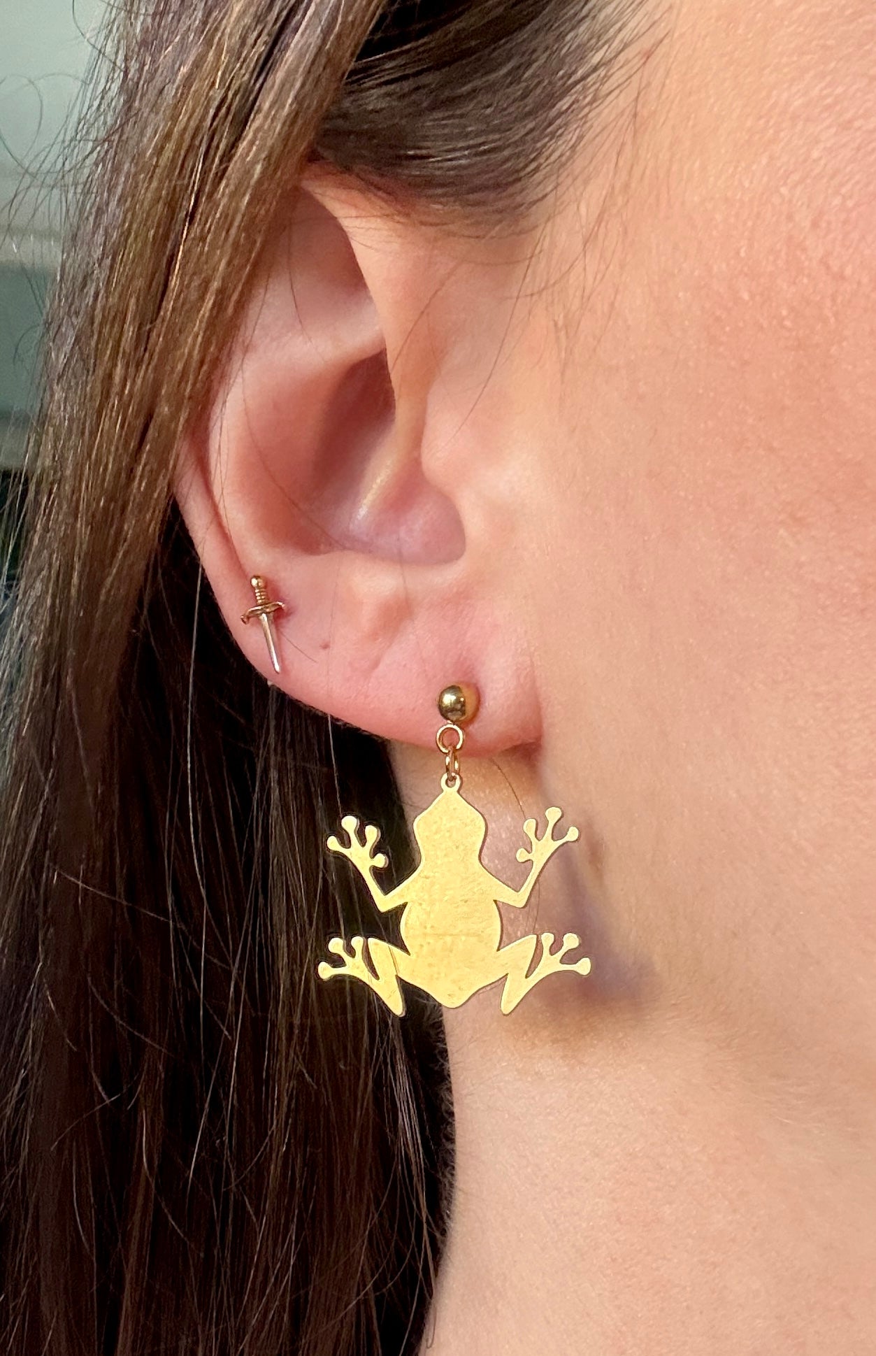 Frog Earrings