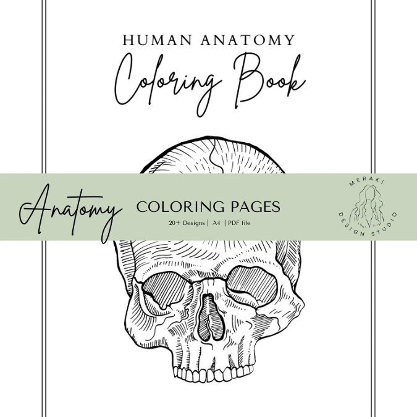 Human Anatomy Coloring Book - Meraki Design Studio