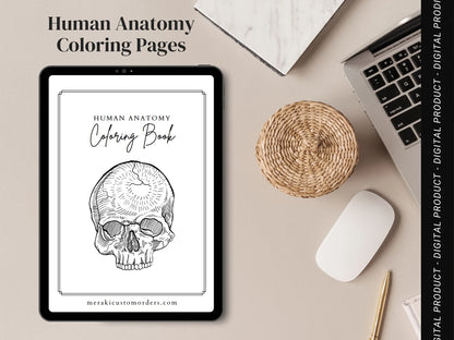 Human Anatomy Coloring Book - Meraki Design Studio
